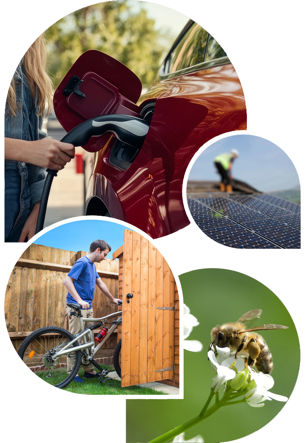 Images of car charging, cycle storage, solar panels and a bee visiting flowers